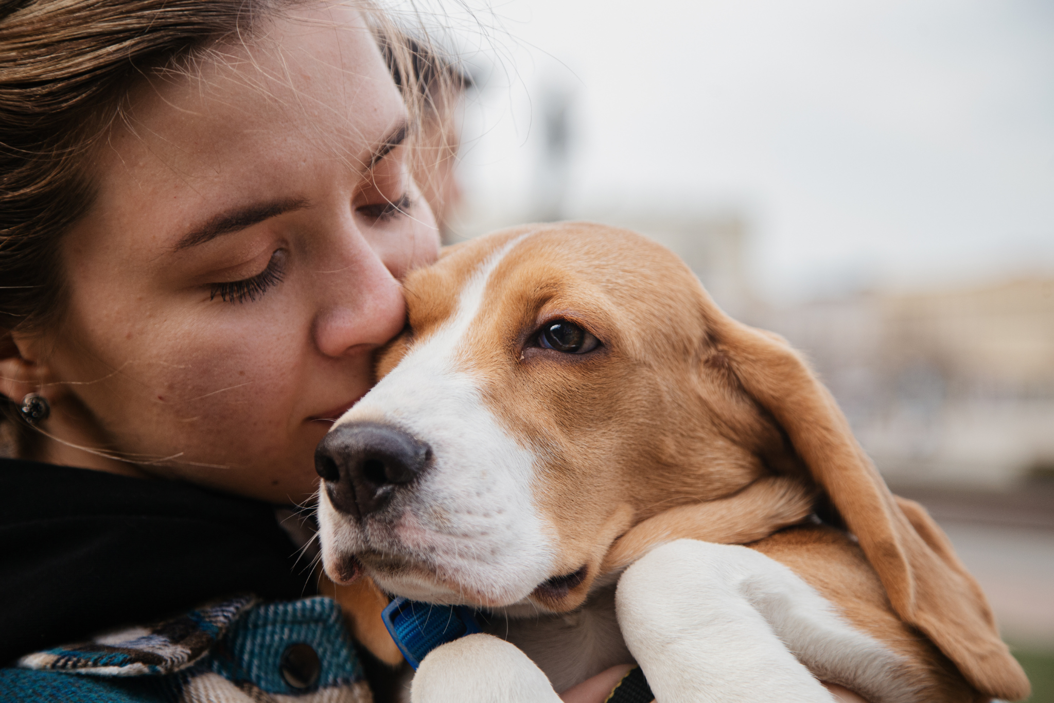 Close-up of an owner and their older pet sharing a warm hug