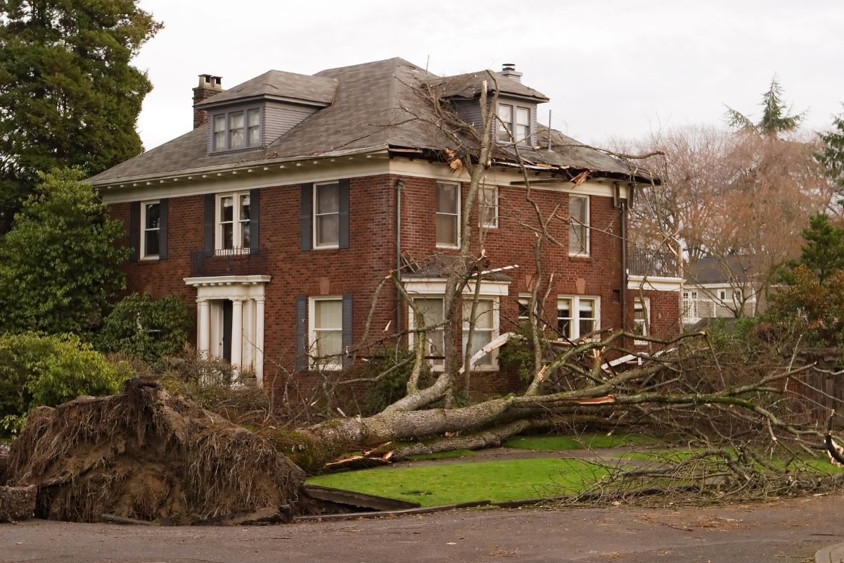 Learn if your homeowner's insurance covers fallen trees and understand coverage details to protect your property effectively.
