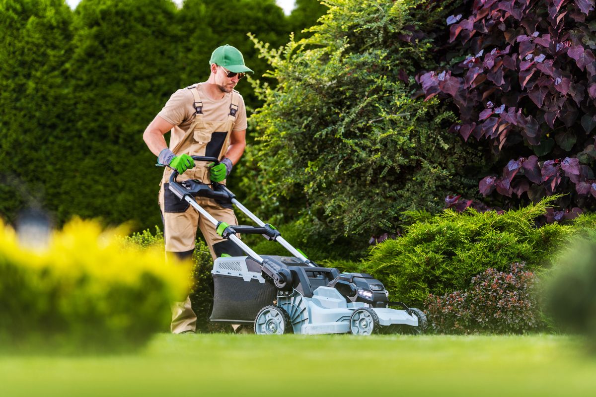 A person mowing a green, well-maintained lawn on a sunny day
