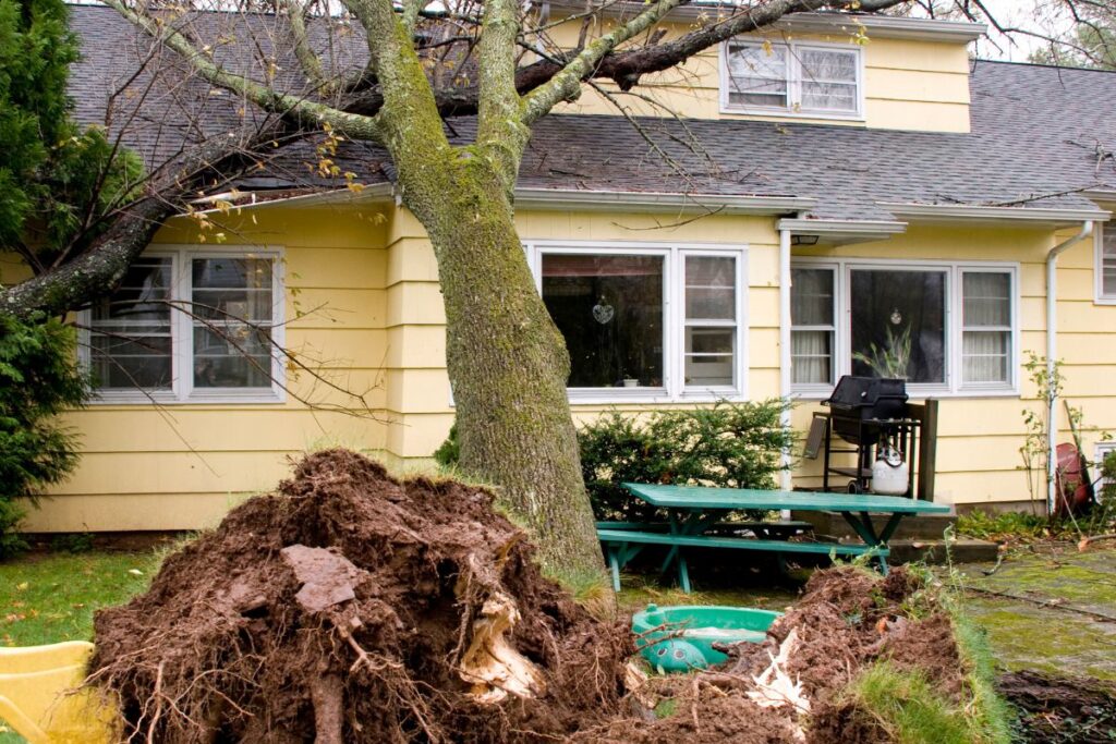 A fallen tree on a suburban Maryland home roof, showing storm damage and the importance of insurance coverage.