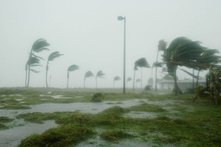 Family preparing emergency supplies and securing their home before a hurricane to stay safe during severe weather.