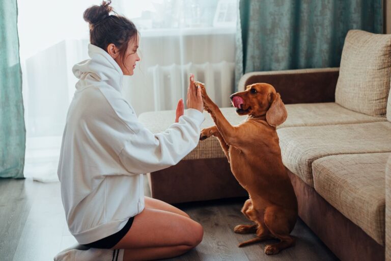Dog sitting beside a renter in an apartment, illustrating renters insurance coverage for pets and dog bite liability.